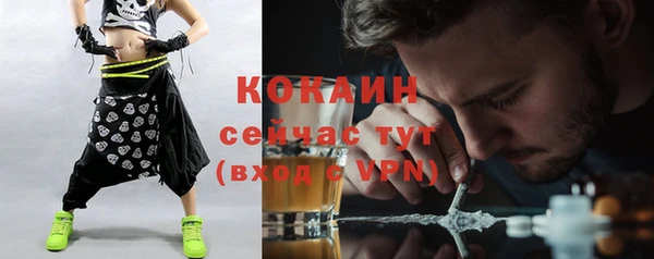 соль ск Пестово