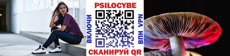 Псилоцибиновые грибы Psilocybe где купить наркоту Берёзовский